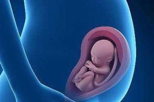 46岁做三代试管大概需要多少费用？